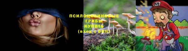 ECSTASY Алексеевка