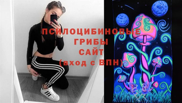 ECSTASY Алексеевка