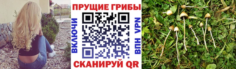 Галлюциногенные грибы мухоморы Киржач