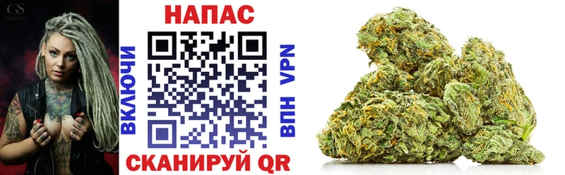 Бошки Шишки сатива KRAKEN ссылки Киржач